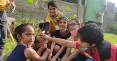 Plantation drive by Indosam75 Residents