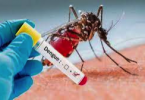 बच्चों में डेंगू, चिकनगुनिया और मलेरिया बुखार- रोकथाम, लक्षण और उपचार