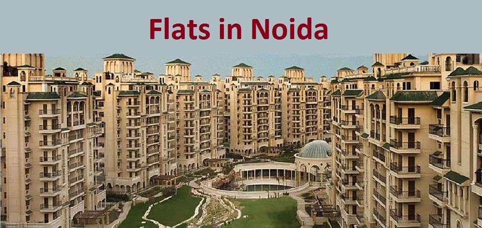 Noida News